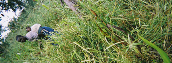 Valentine Okoit's disposable camera photographs