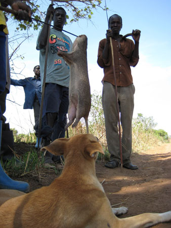 Richard M Kavuma's photographs from Katine