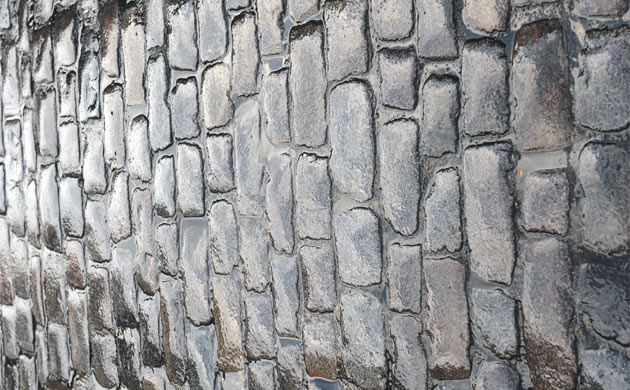 Wrapping paper designed by David Bailey