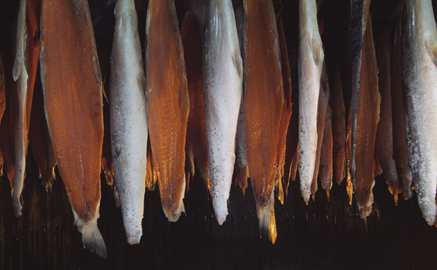 Creators. Photographs by Philip Curtin