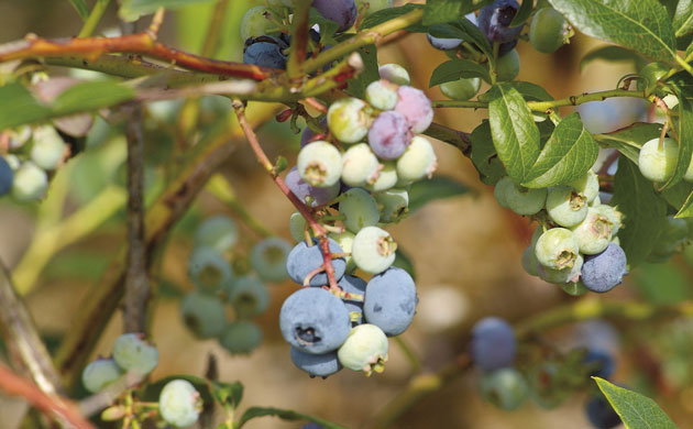 Creators. Photographs by Philip Curtin