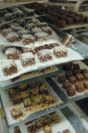 Creators. Photographs by Philip Curtin