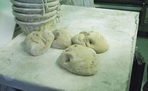 Creators. Photographs by Philip Curtin