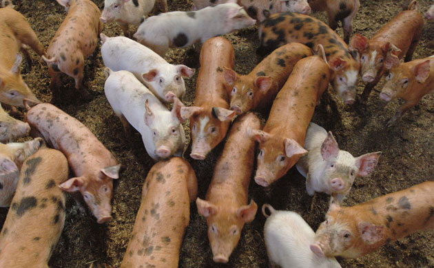 Creators. Photographs by Philip Curtin