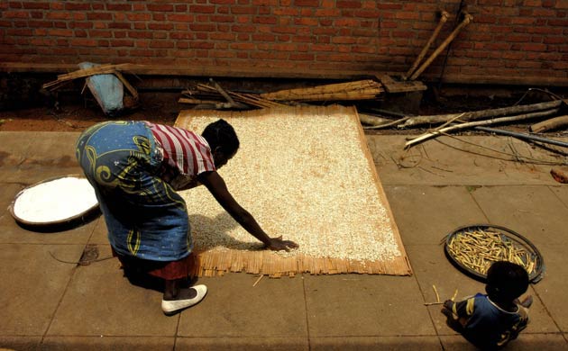 A woman dries maize grain