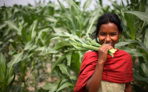 A girl in front of her family’s maize field in Dawabari river bed