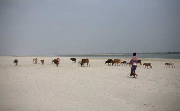 A sand and silt landmass in Bangladesh