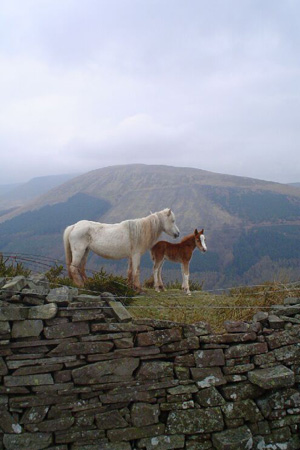 Stuart Page picture for Sony Unseen Britain