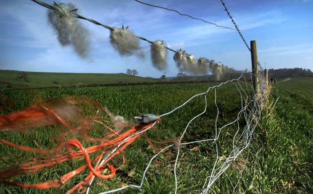 Alex Campbell picture for Sony Unseen Britain