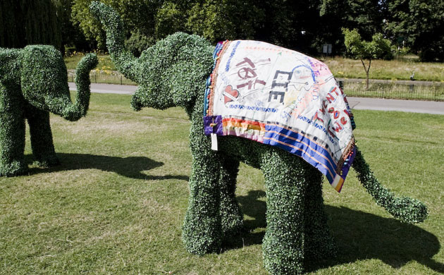 The Elephant Family on tour