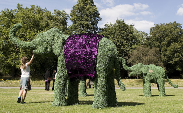 The Elephant Family on tour