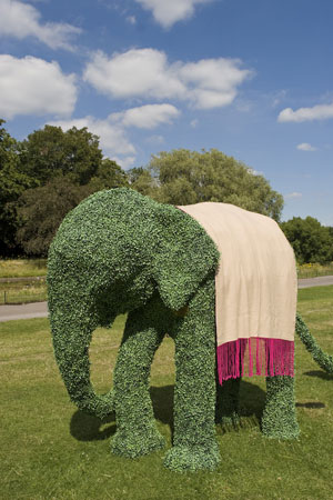 The Elephant Family on tour