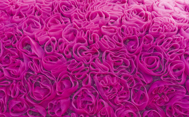 The Elephant Family on tour