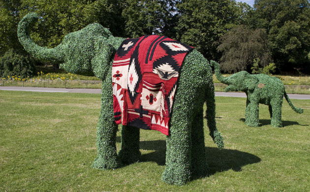 The Elephant Family on tour