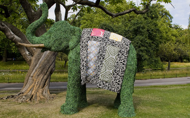 The Elephant Family on tour