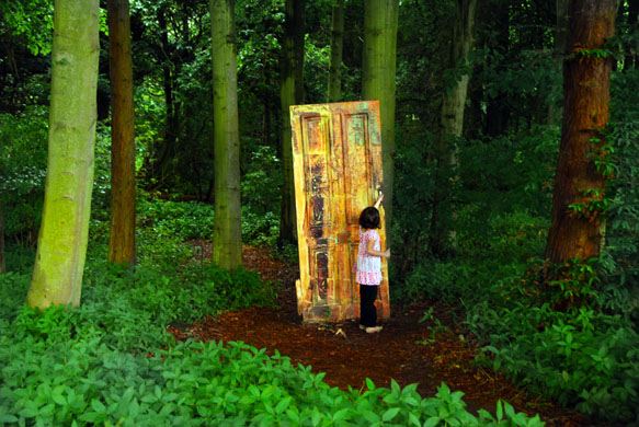 Photography competition entry