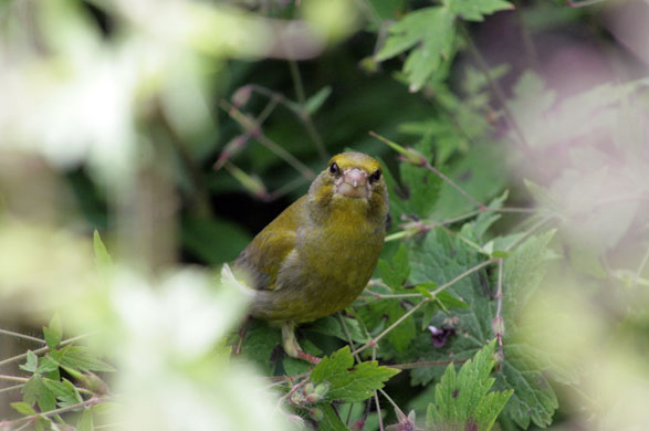 Photography competition entry