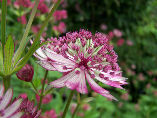 Photography competition entry