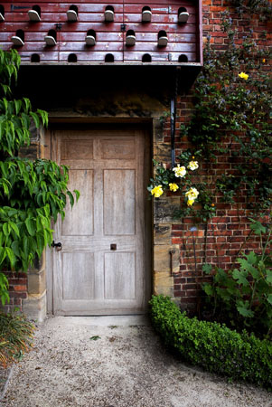 Photography competition entry