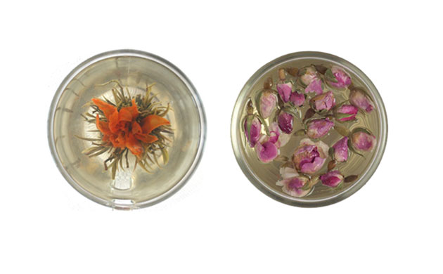 Christmas gifts: World food