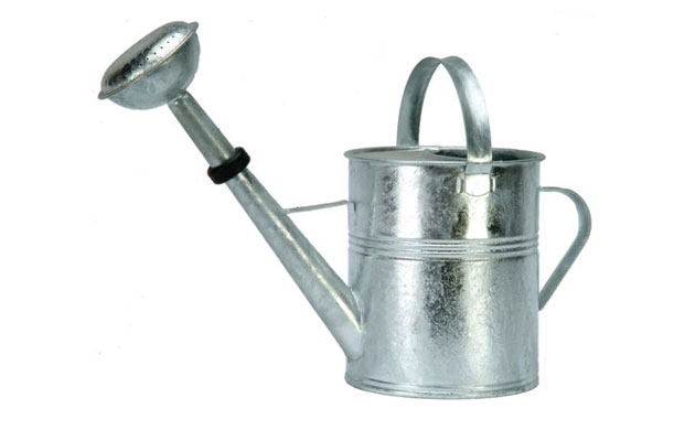 Christmas gifts: gifts for gardeners