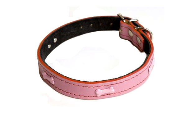 Christmas gifts: gifts for pets