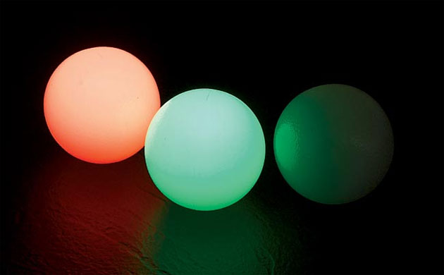 Christmas gifts: gifts for pets