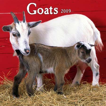 Bestselling calendar