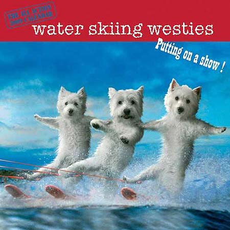 Bestselling calendar