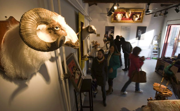 Jin Weijian's stuffed pets