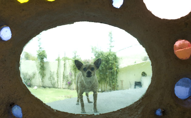 House designed by Mexican architect Javier Senosiain