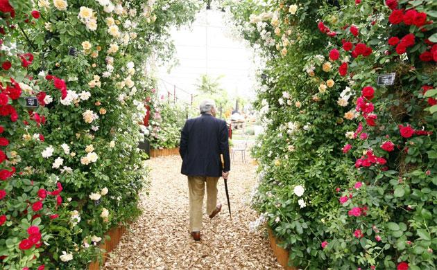 Chelsea Flower Show 2008