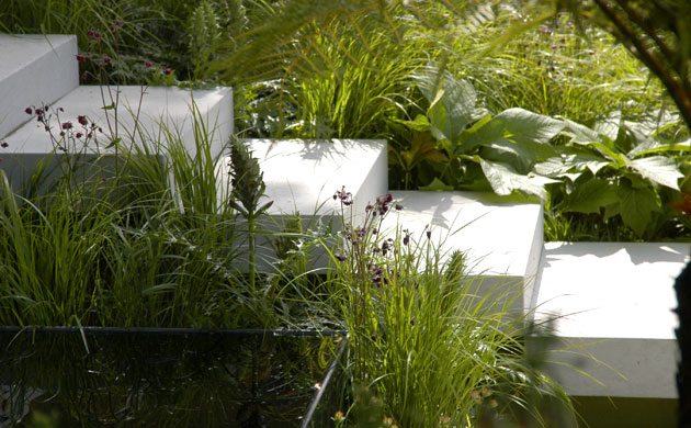Chelsea Flower Show 2008