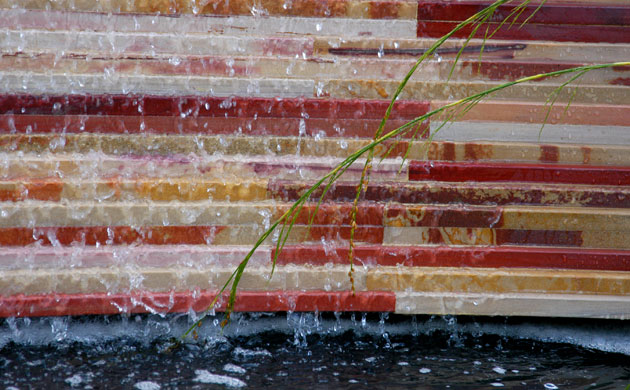 Chelsea Flower Show 2008