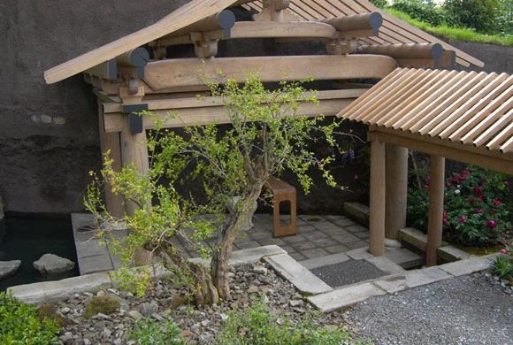 Chelsea Flower Show 2008