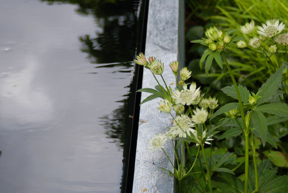 Chelsea Flower Show 2008