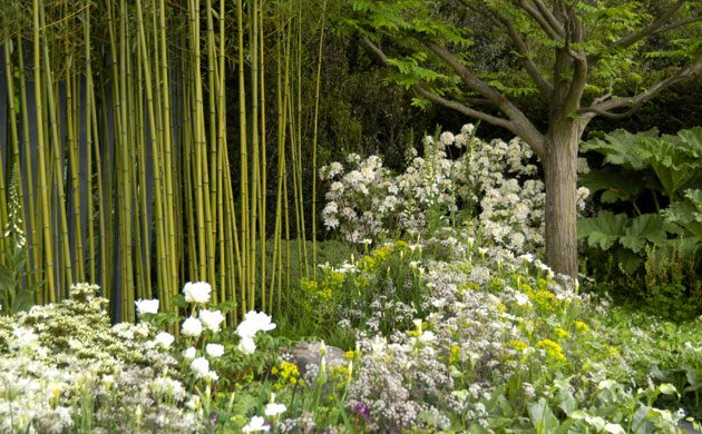 Chelsea Flower Show 2008