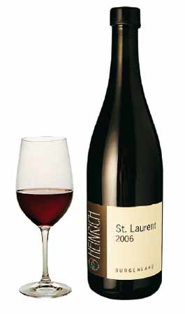 Gernot Heinrich Saint Laurent