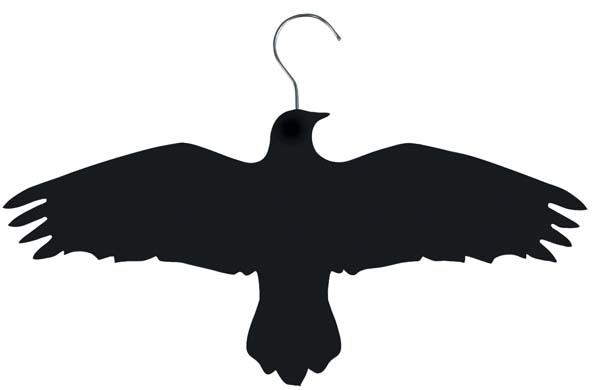 Bird design