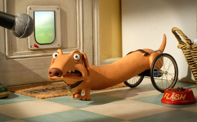 Flash the sausage dog