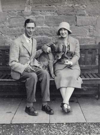 Noble Hounds and Dear Companions