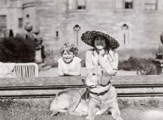 Noble Hounds and Dear Companions