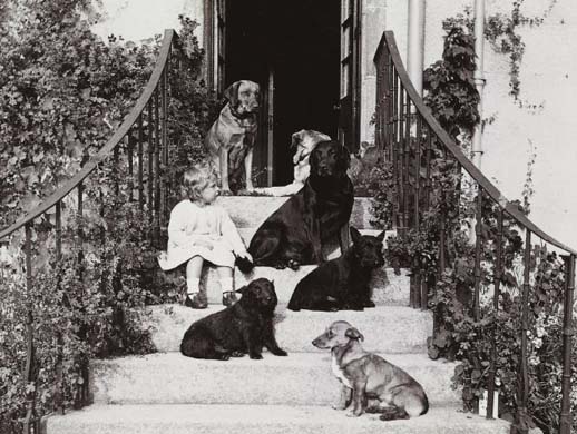 Noble Hounds and Dear Companions