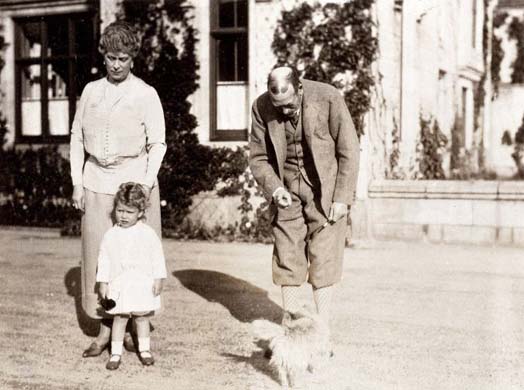 Noble Hounds and Dear Companions