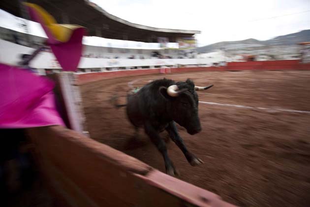 Bullfighting in Mexico
