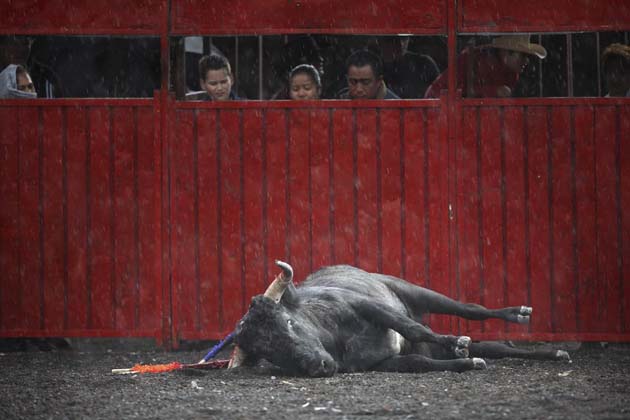 Bullfighting in Mexico