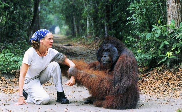 Julia Robers and orangutan