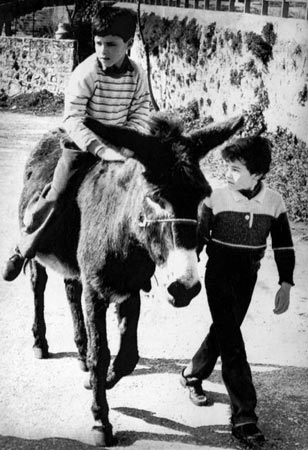 Silly season gallery