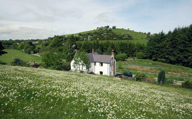 Jackson-Stops & Staff