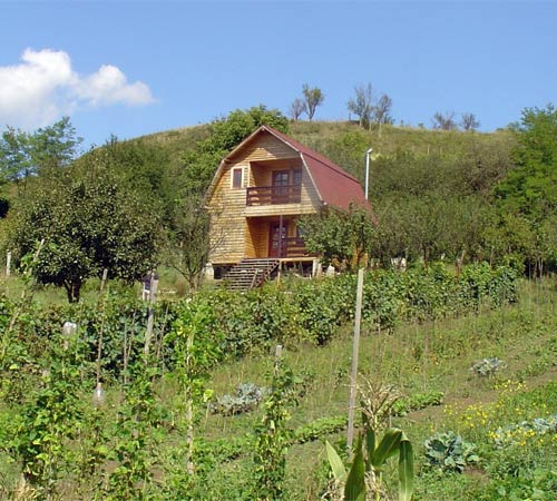 Investabroad Properties